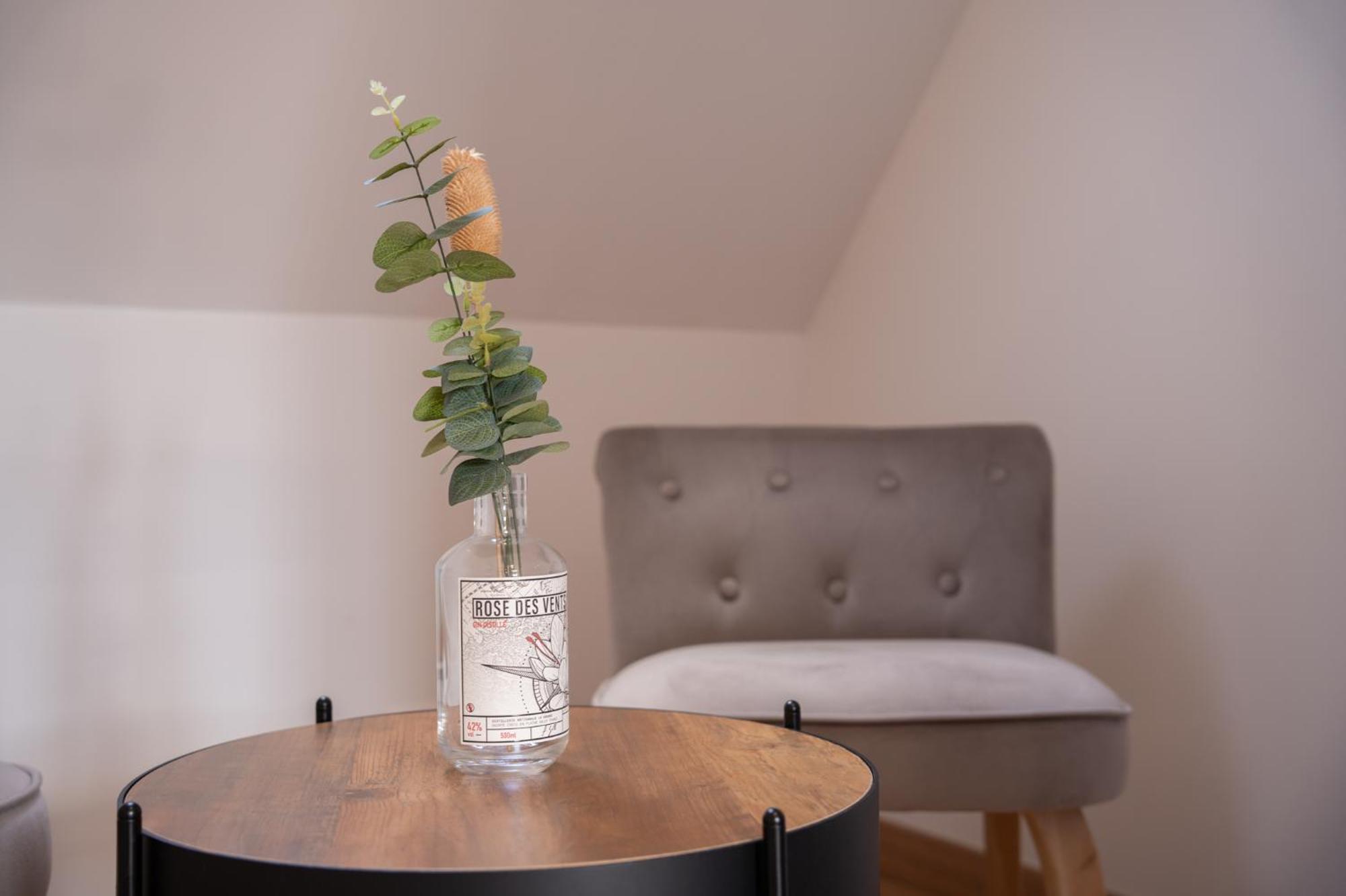 Chambre Rose Des Vents 埃圭斯海姆 外观 照片